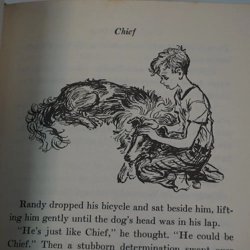 Weekly Reader Club clean foxing chief